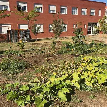 Residencia Universitaria Atilano Coco Lejlighed *