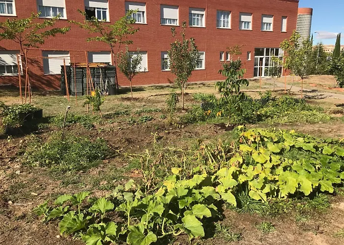 Residencia Universitaria Atilano Coco Apartamento *